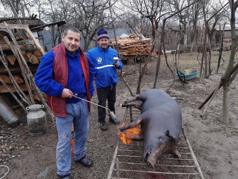  - La țară în martie 2020