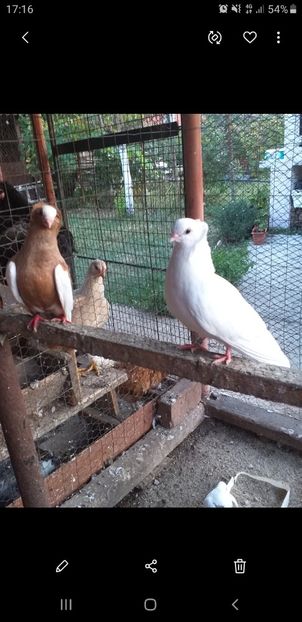 Screenshot_20200309-171647_Gallery - Kamaromi 2015-2023