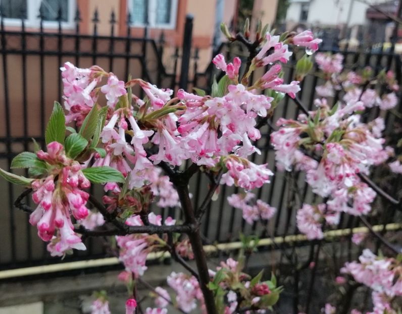  - 2020 Ian feb martie aprilie