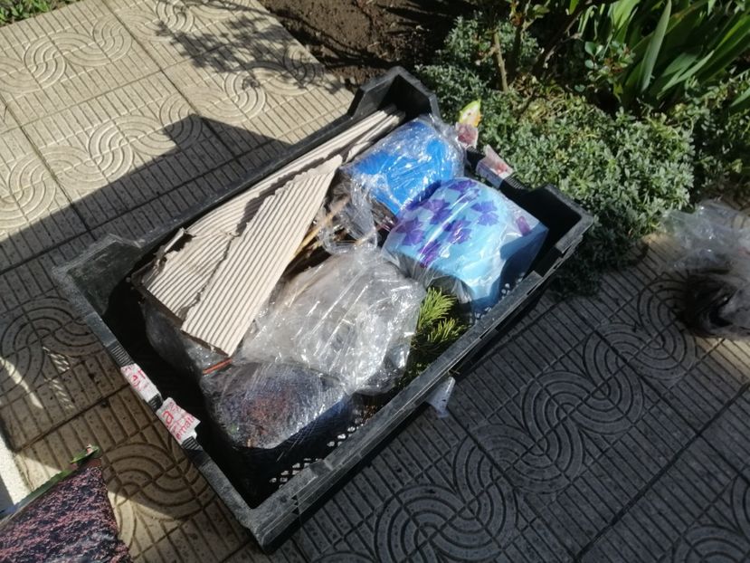 Pachet de la Maria(Clematite) - a Comenzi plante copaci 2020