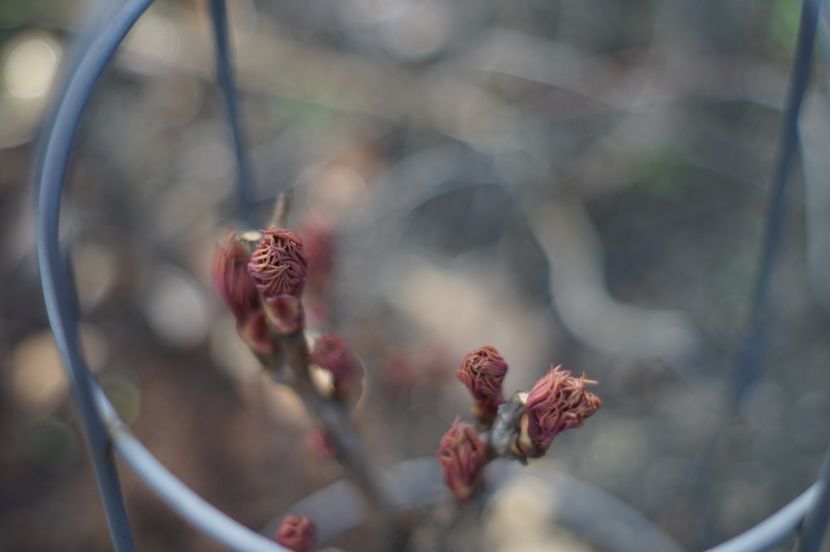  - Martie 2019- Martie 2020