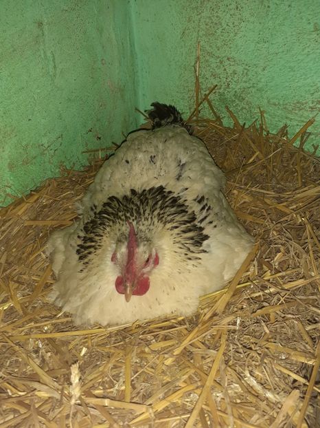 13.03.2020 - 5Closti