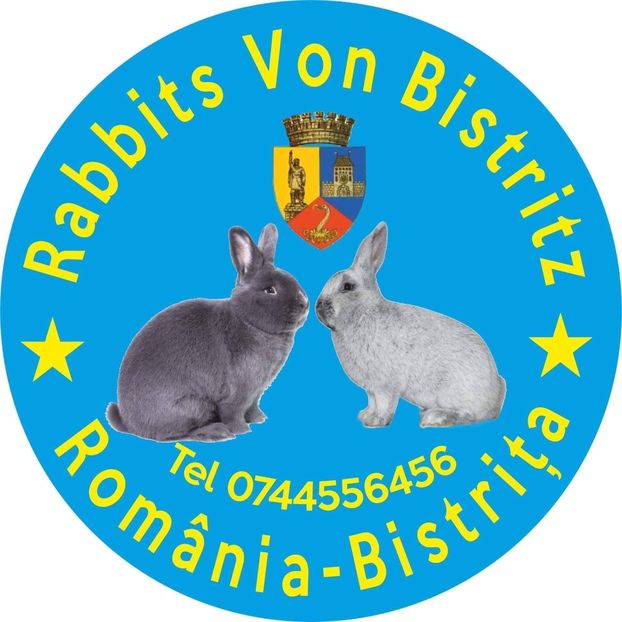 A11B8C12-82E2-42C4-B5D8-78DF0A635C74 - 10 De vanzare