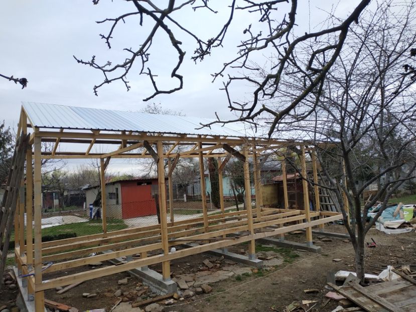  - Volieră nouă 2020