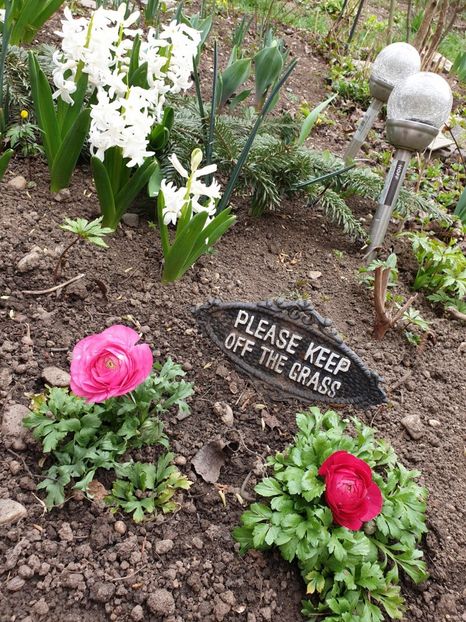 IMG-20200314-WA0017 - 2020 Martie