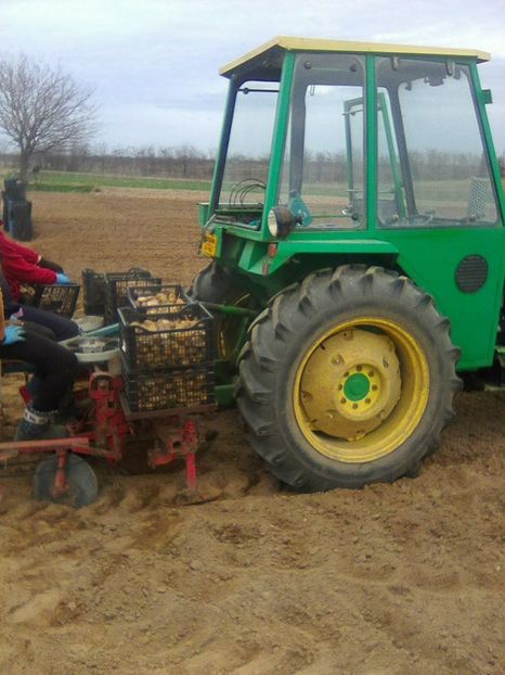 Photo0312 - legumicultura --ocupatia mea