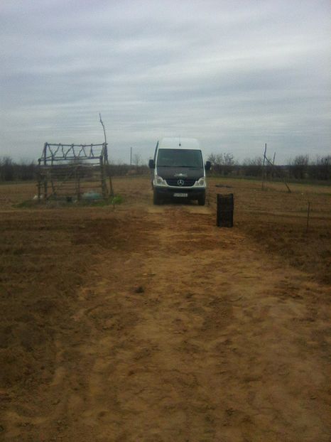 Photo0315 - legumicultura --ocupatia mea