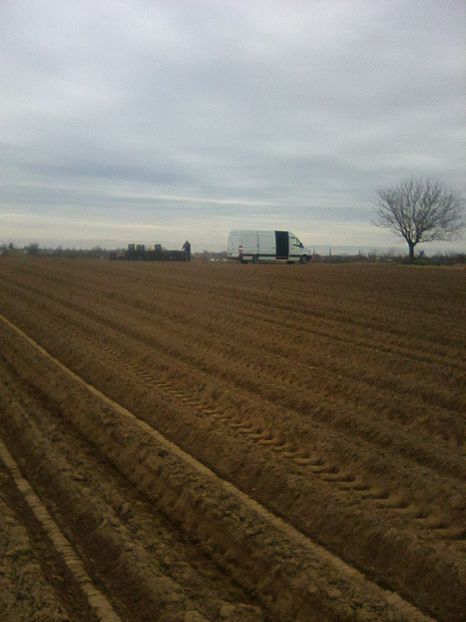 Photo0316 - legumicultura --ocupatia mea