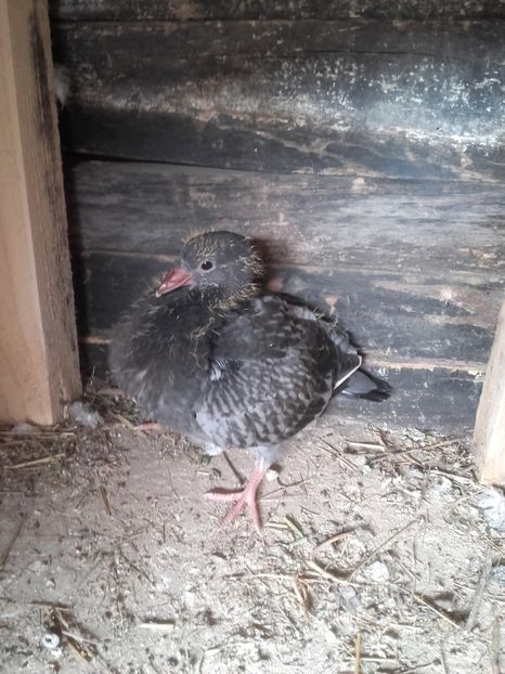 10.03.2020 756 - 2020