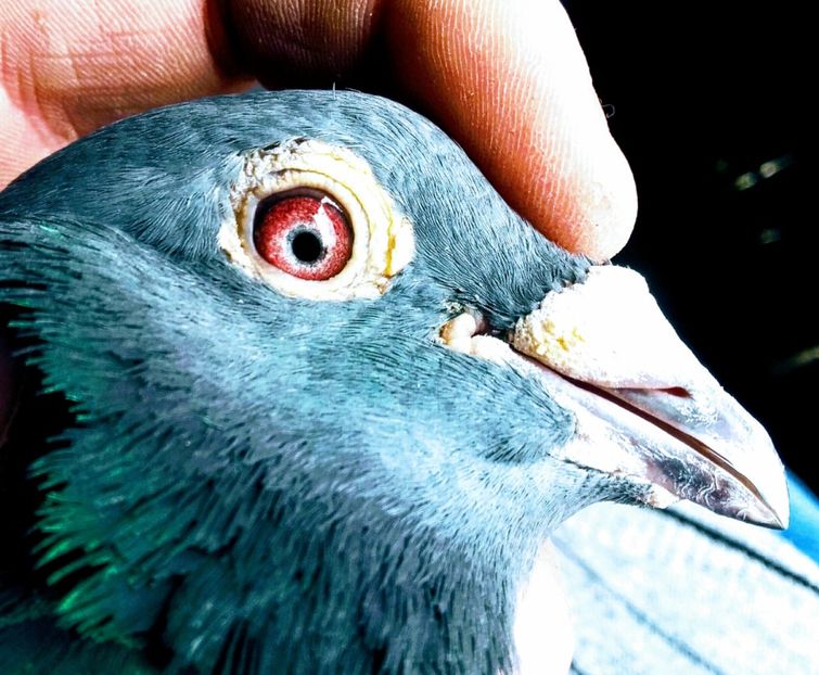 20200308_100015~4 - 2020