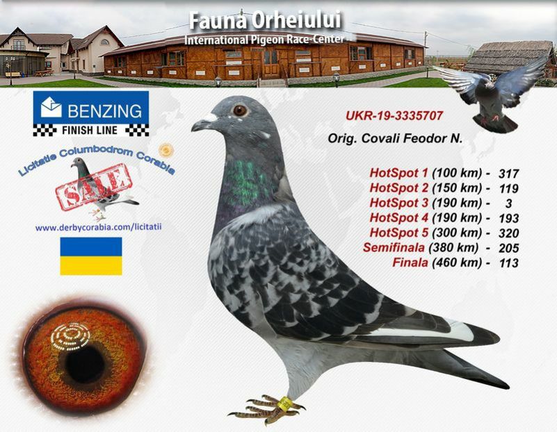 a_UKR193335707 - 2020