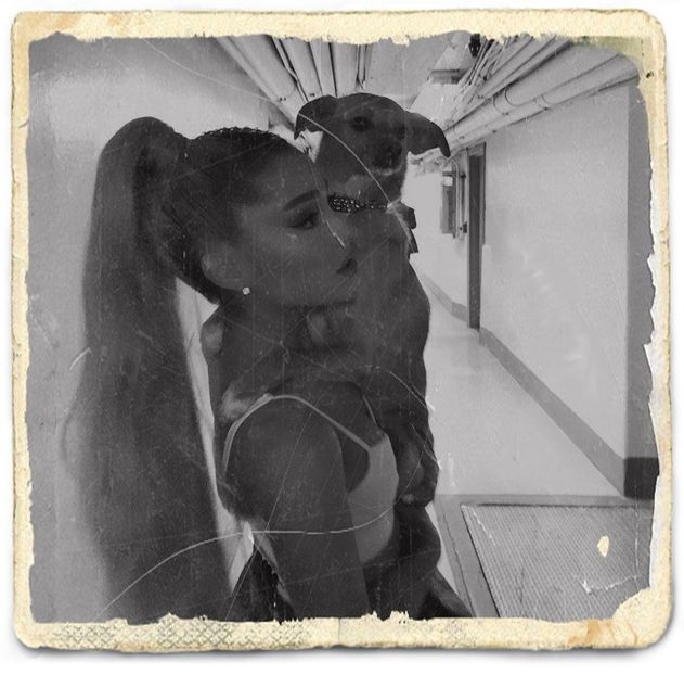 Eo voiam doar dust pe poză dar Photoscape ul n-a evoluat ca Sunphoto aparent.. ;) cl. - Feels good to be back