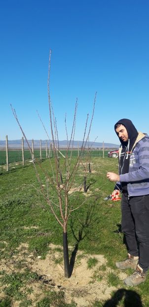  - Livada 1 anul III 2020