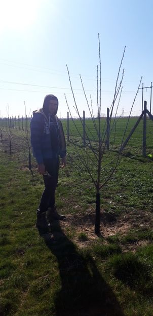  - Livada 1 anul III 2020