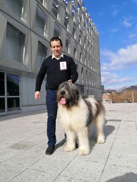  - Pintea din Zestrea Stânelor