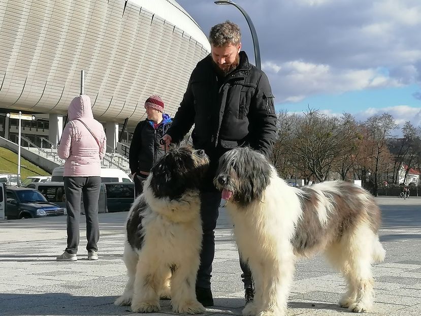  - Pintea din Zestrea Stânelor