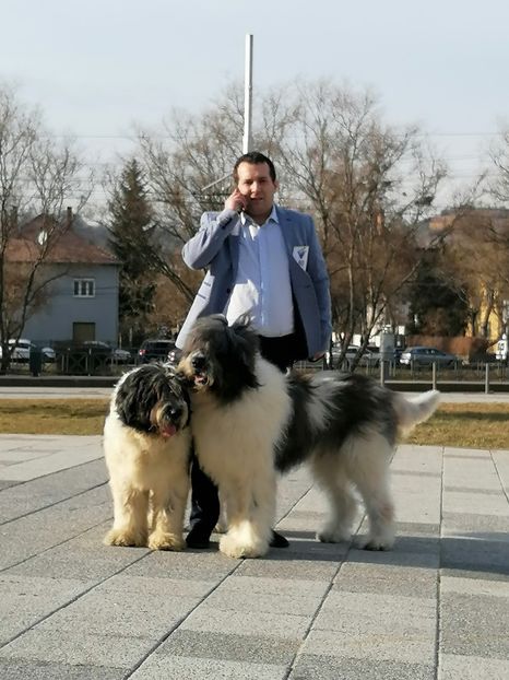  - Pintea din Zestrea Stânelor