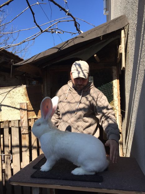 C3745E05-4B0F-465A-9FAA-8076CF90672E - RO 8-193