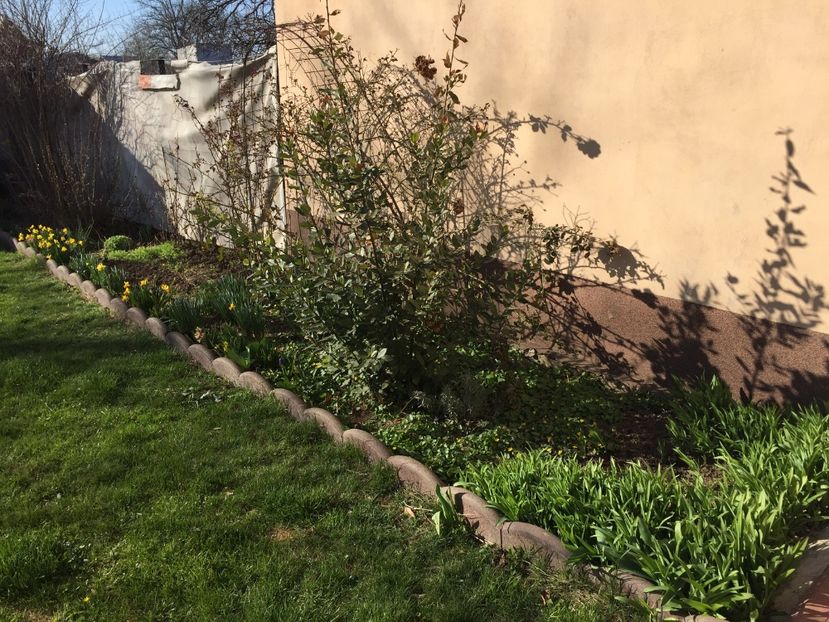 76F93F54-B2AE-455E-A3EA-A916F02D43FD - Florii 2020