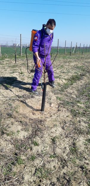  - Livada 1 anul III 2020