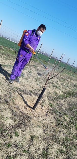  - Livada 1 anul III 2020