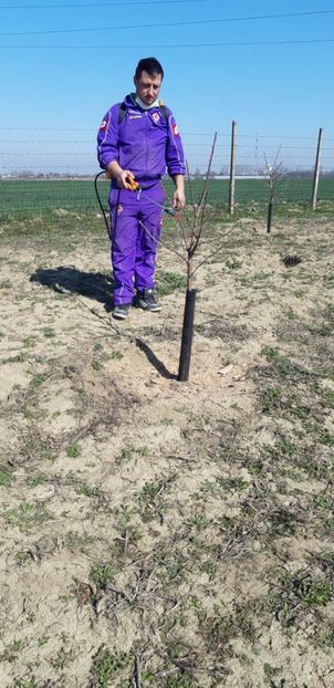  - Livada 1 anul III 2020