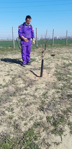  - Livada 1 anul III 2020