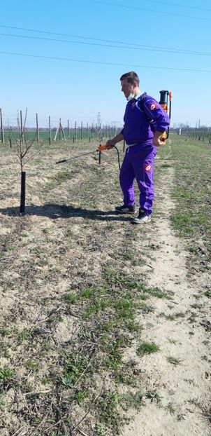  - Livada 1 anul III 2020