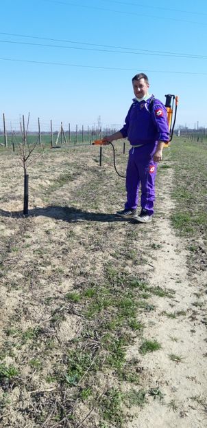  - Livada 1 anul III 2020