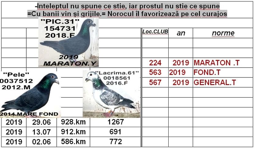 .2018-PIC.731 2019 - z km 2012-2019
