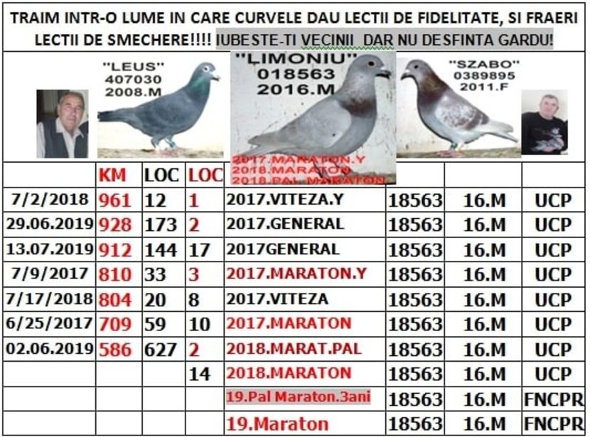 2016 18563 LIM - z km 2012-2019