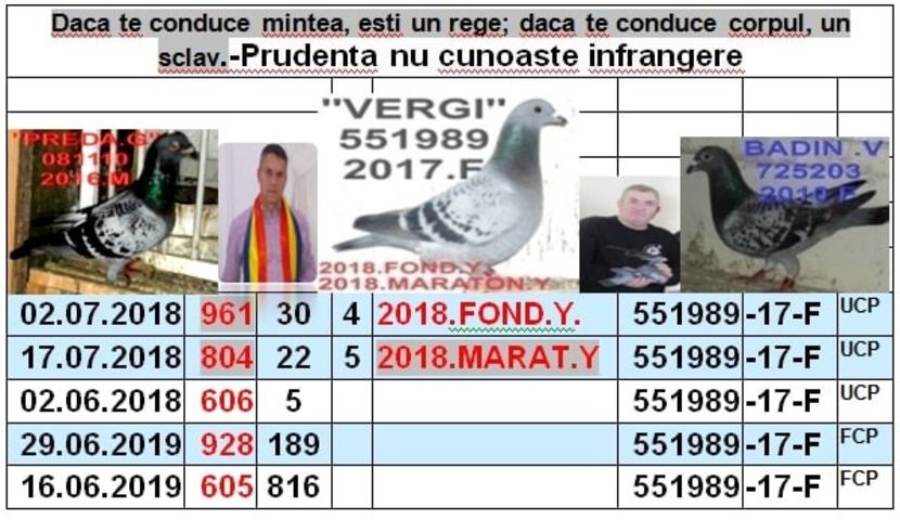2017-551989 VER - z km 2012-2019