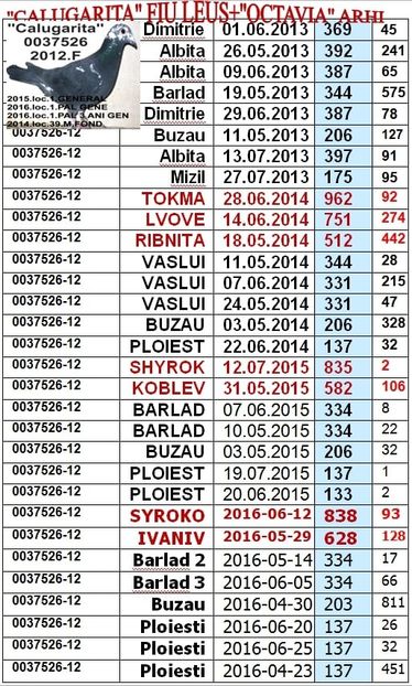 KM-2012-37526 - z km 2012-2019