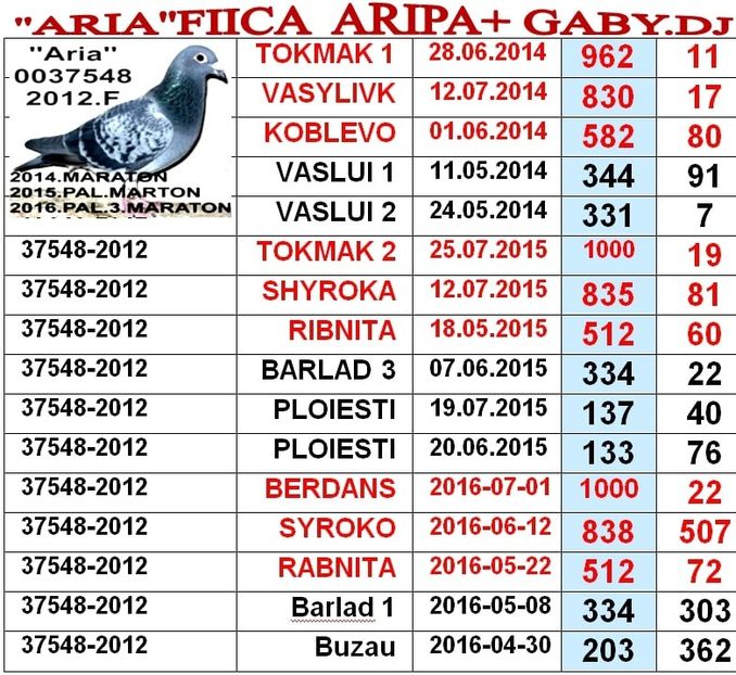 km-2012-37548 - z km 2012-2019