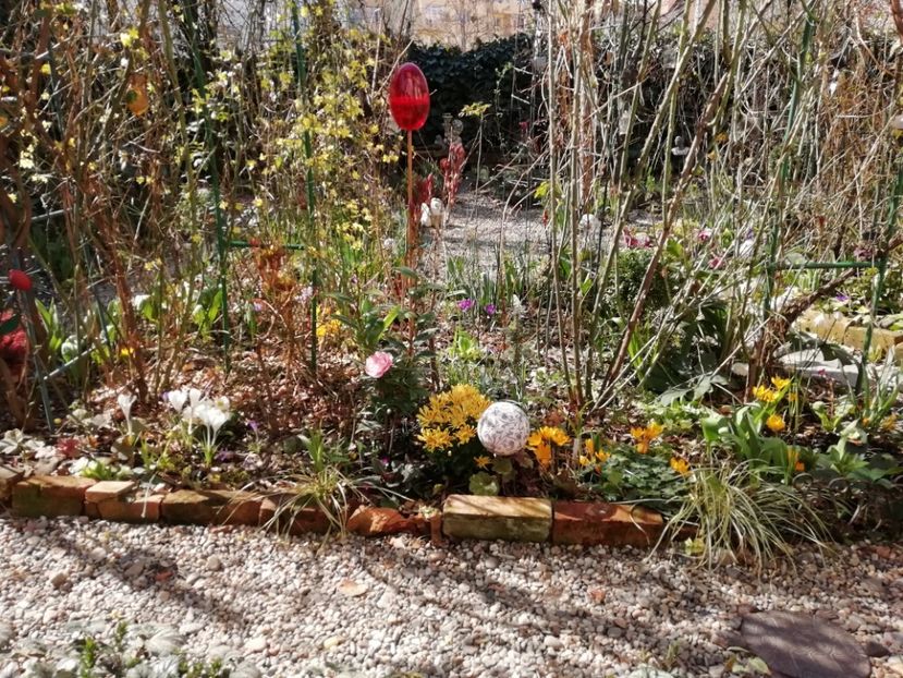 18.03.2020 - Grădina 2020