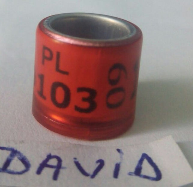 Polonia-2009 - Polonia