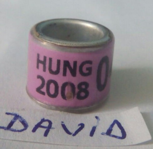 Ungaria-2008 - Ungaria