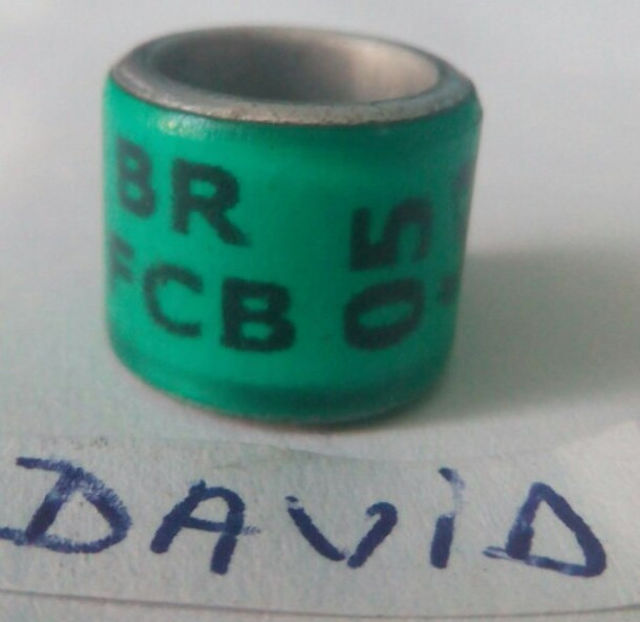 2005-BRAZILIA - Brazilia