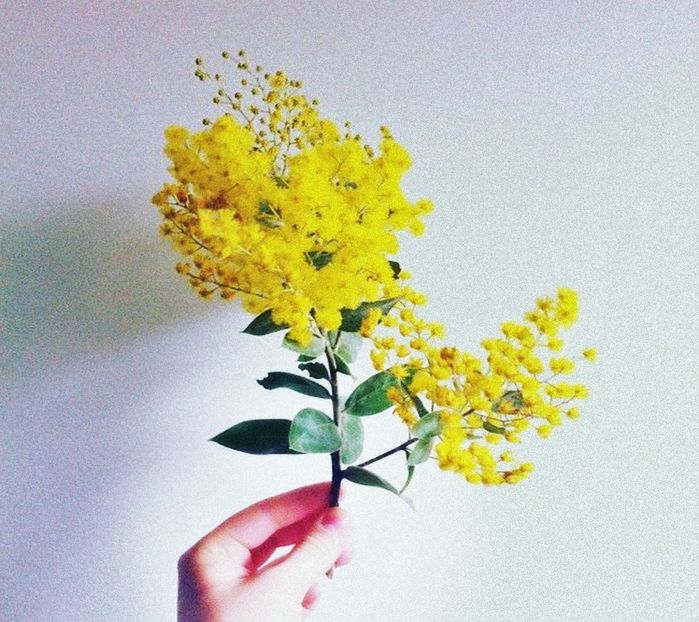 【Anacravia12】- ⚘ Acacia ⚘ - 02 Horizont makes love to the sea
