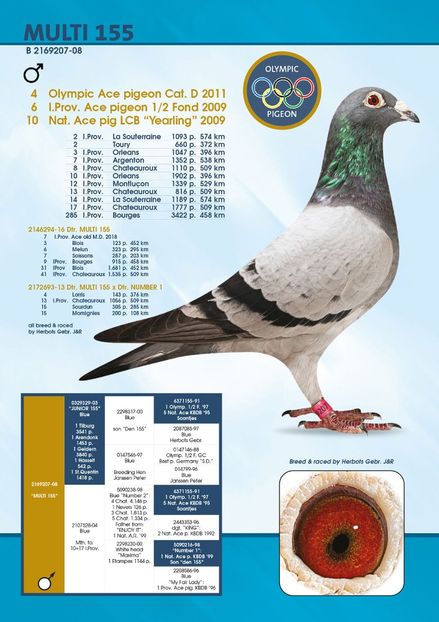 multi-155 - BE 2019 2143937 Yvan Star