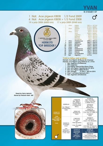 yvan - BE 2019 2143937 Yvan Star