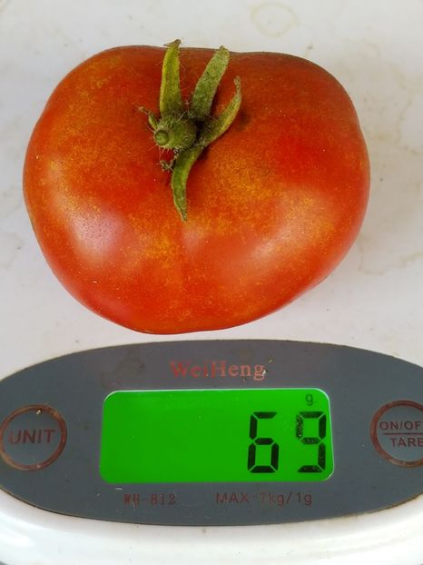 TARASHENKO ANIVERSARY (2) - TARASHENKO ANIVERSARY