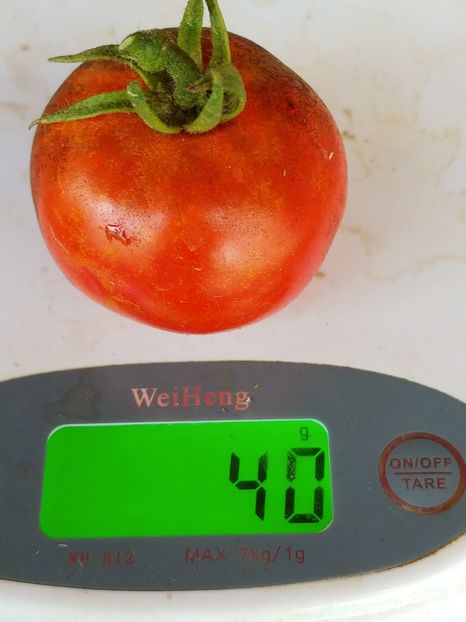 TARASHENKO ANIVERSARY (3) - TARASHENKO ANIVERSARY