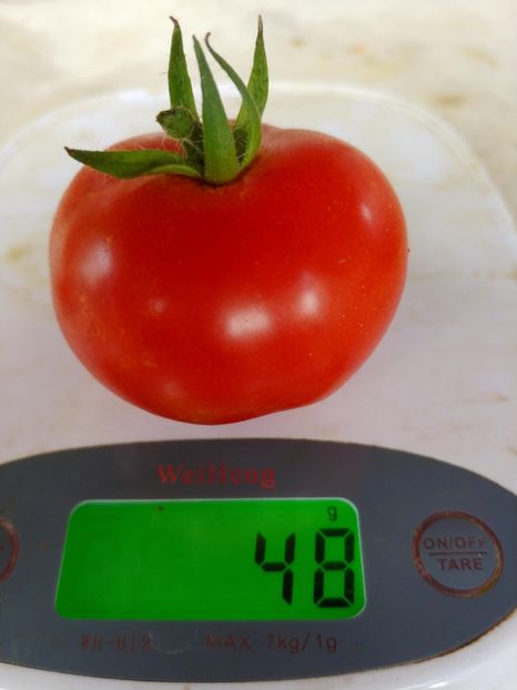 TARAȘENKO ANIVERSARY (7) - TARASHENKO ANIVERSARY