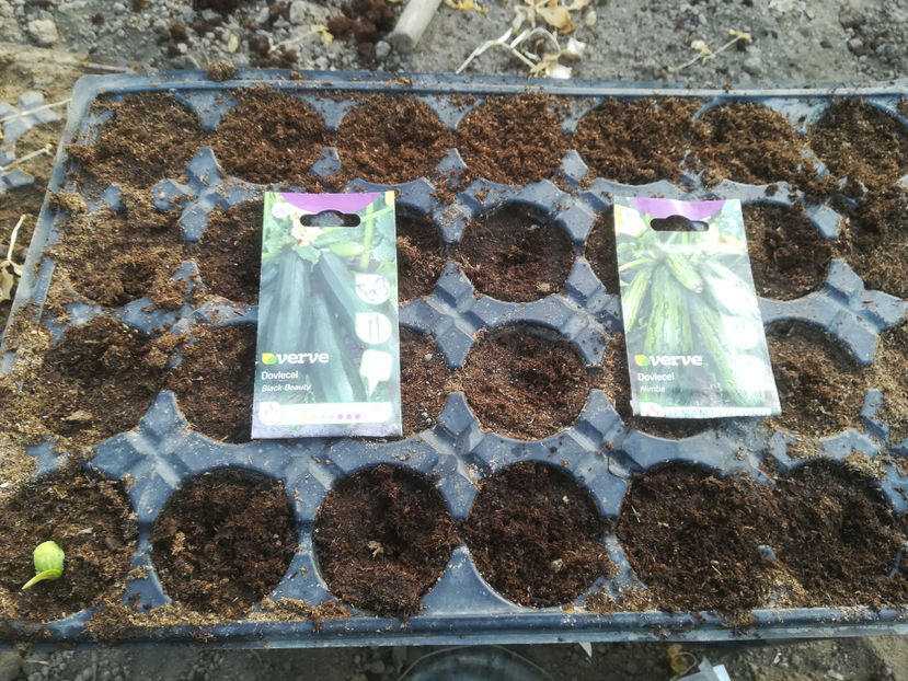 19 martie 2020 - 2020