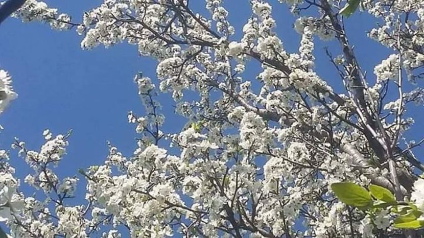  - - O - Fotografii x