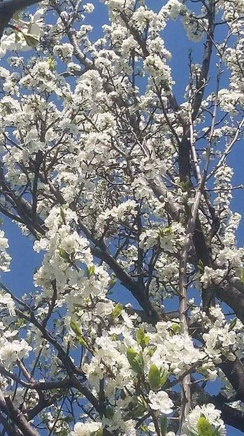  - - O - Fotografii x