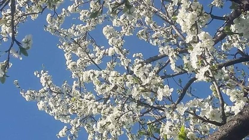  - - O - Fotografii x