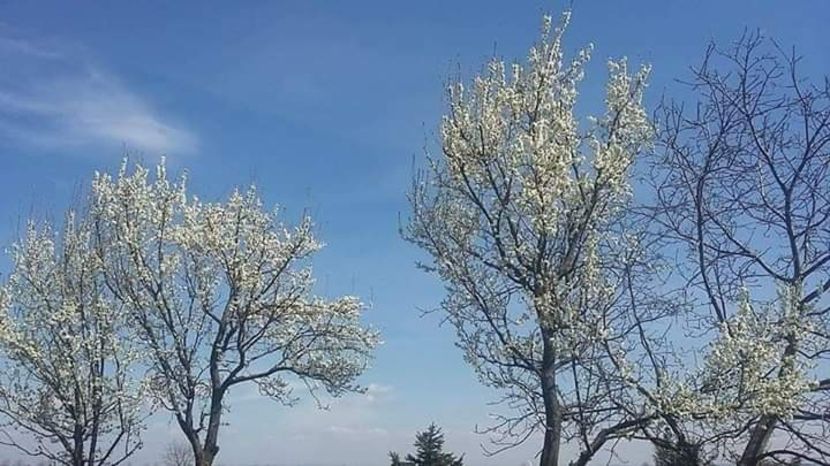  - - O - Fotografii x