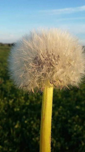  - Fotografii x